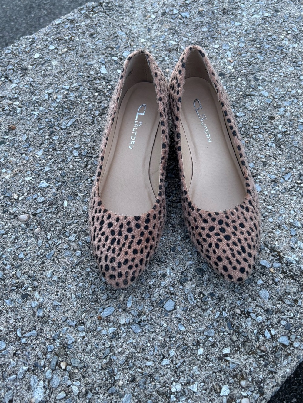 CL by Laundry Leopard Print Pointed Toe Flats